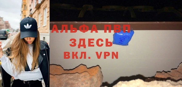 СК Волоколамск