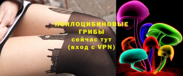 СК Волоколамск