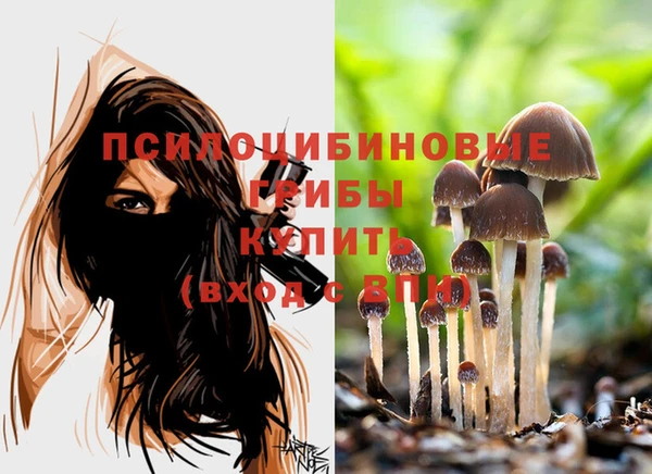 ешки Волосово