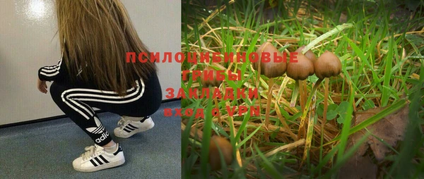 ешки Волосово