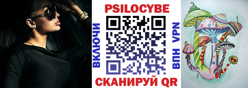 купить наркотик  площадка официальный сайт  Псилоцибиновые грибы мицелий  Владимир 
